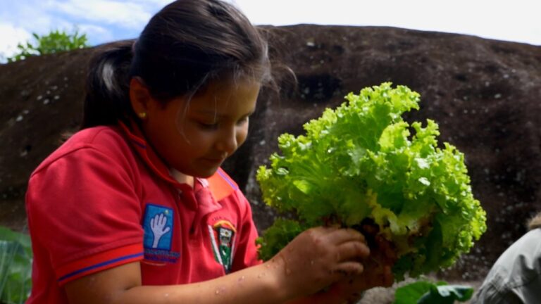 10 beneficios de un huerto escolar