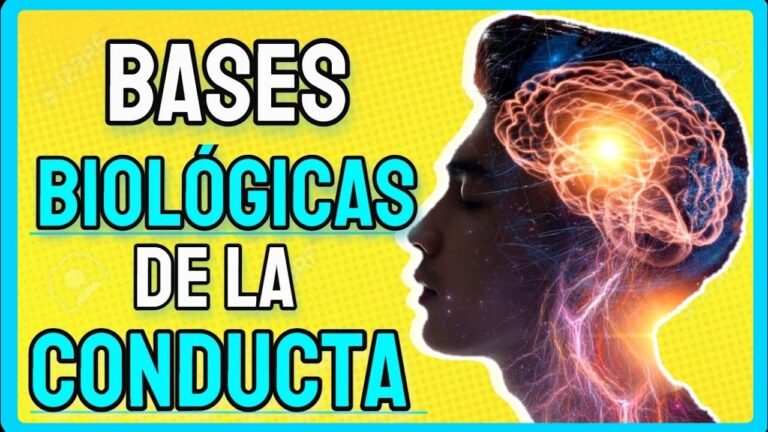 4 factores que influyen en el comportamiento humano