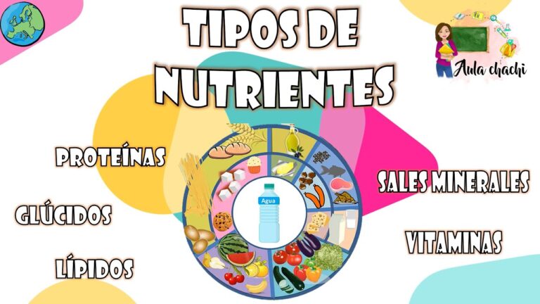 5 tipos de nutrientes que el cuerpo necesita