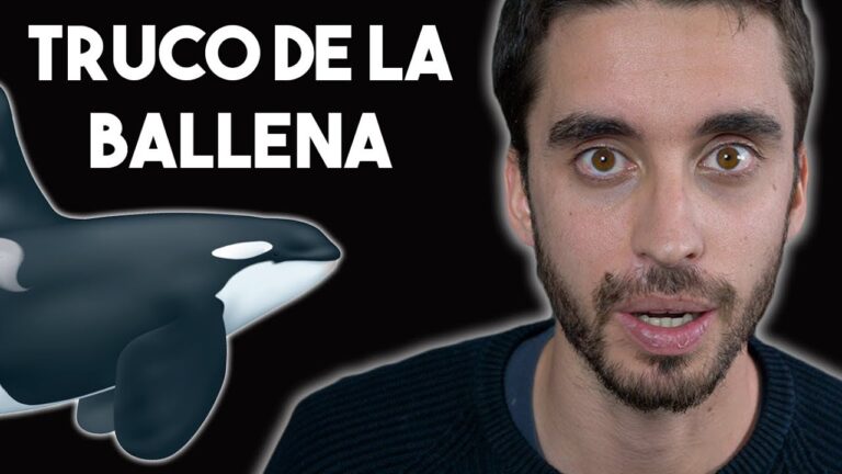 acciones para infraestructura y equipamiento