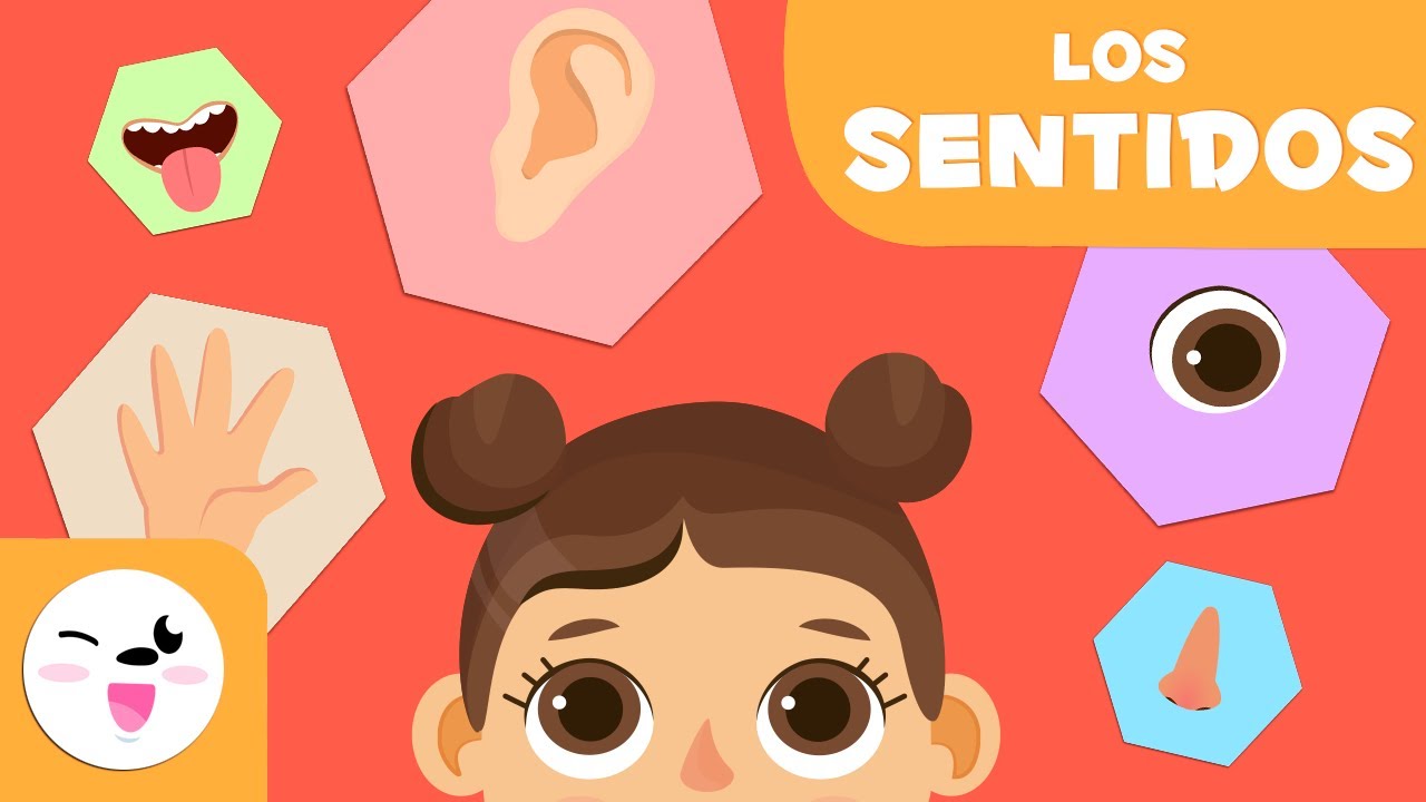 actividades de los sentidos para bebes