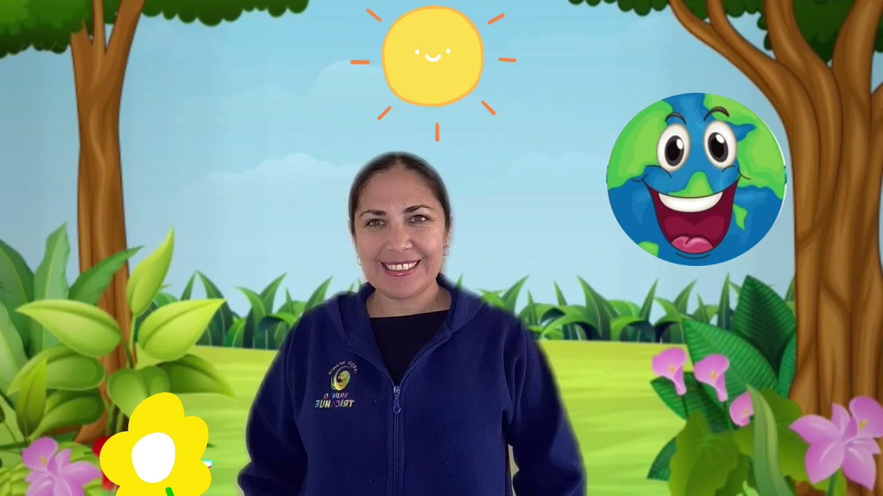 actividades sobre el cuidado del medio ambiente para preescolar