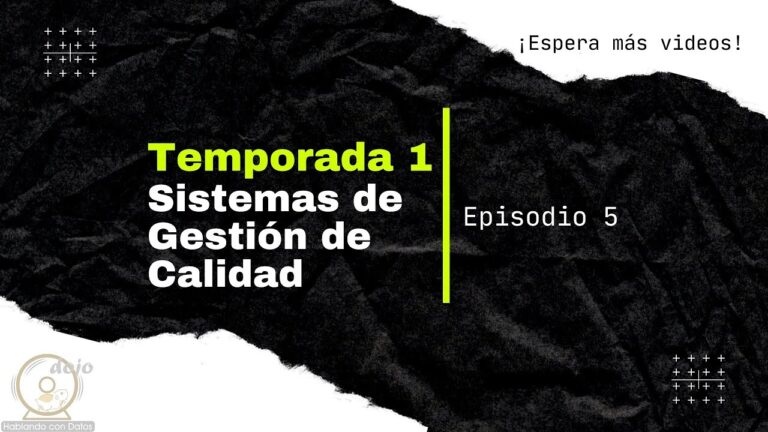 alcance del sistema de gestion de calidad en una empresa