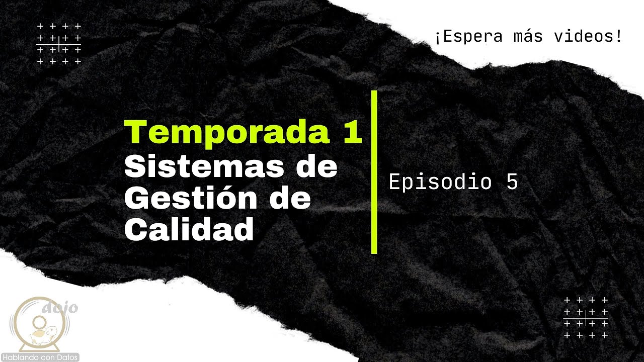 alcance del sistema de gestion de calidad en una empresa