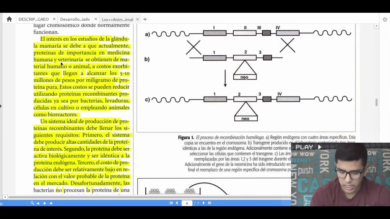aplicaciones de la biologia del desarrollo