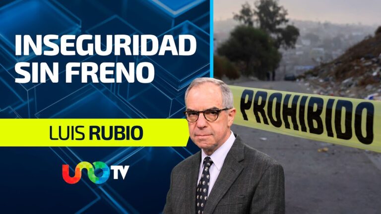 articulo sobre la inseguridad en mexico