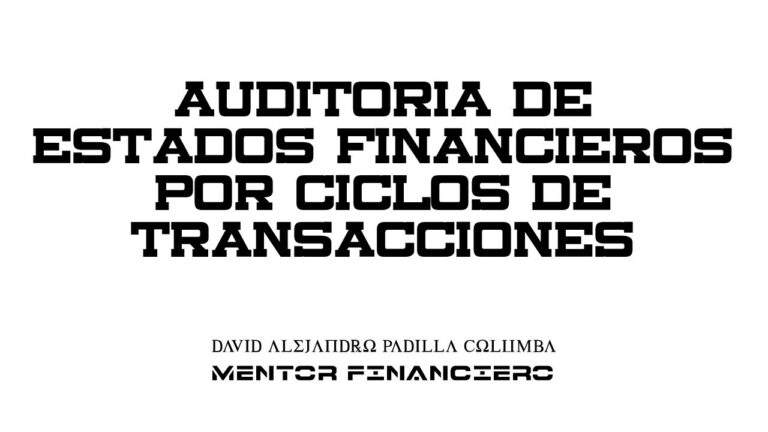 auditoria financiera ciclos de informacion