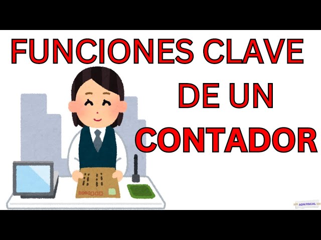 caracteristicas de un contador auditor privado