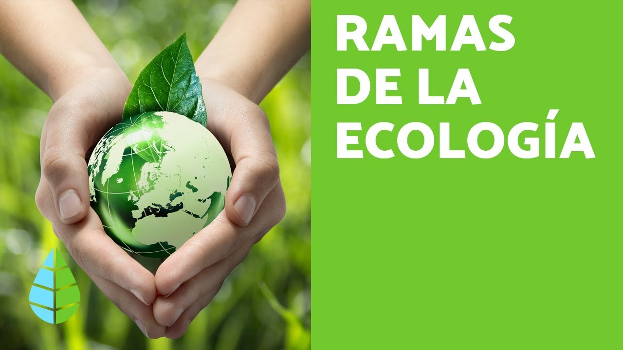 ciencias y ramas auxiliares de la ecologia