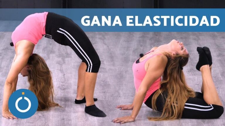 clases de elasticidad en educacion fisica