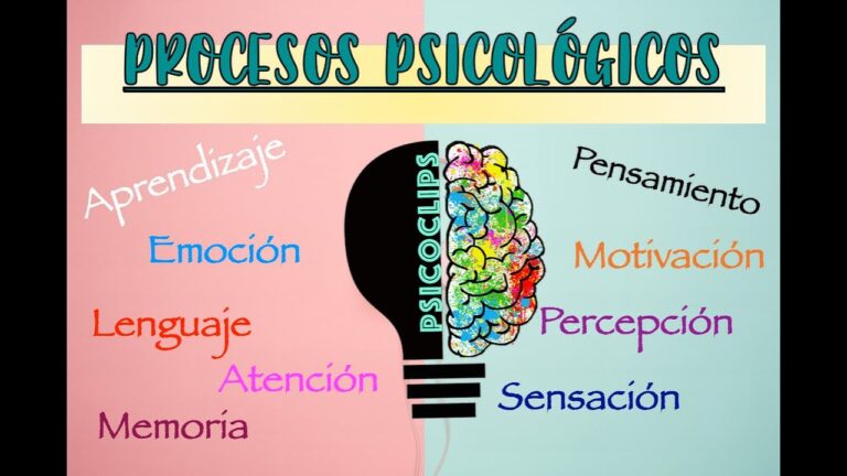clasificacion de los procesos psicologicos
