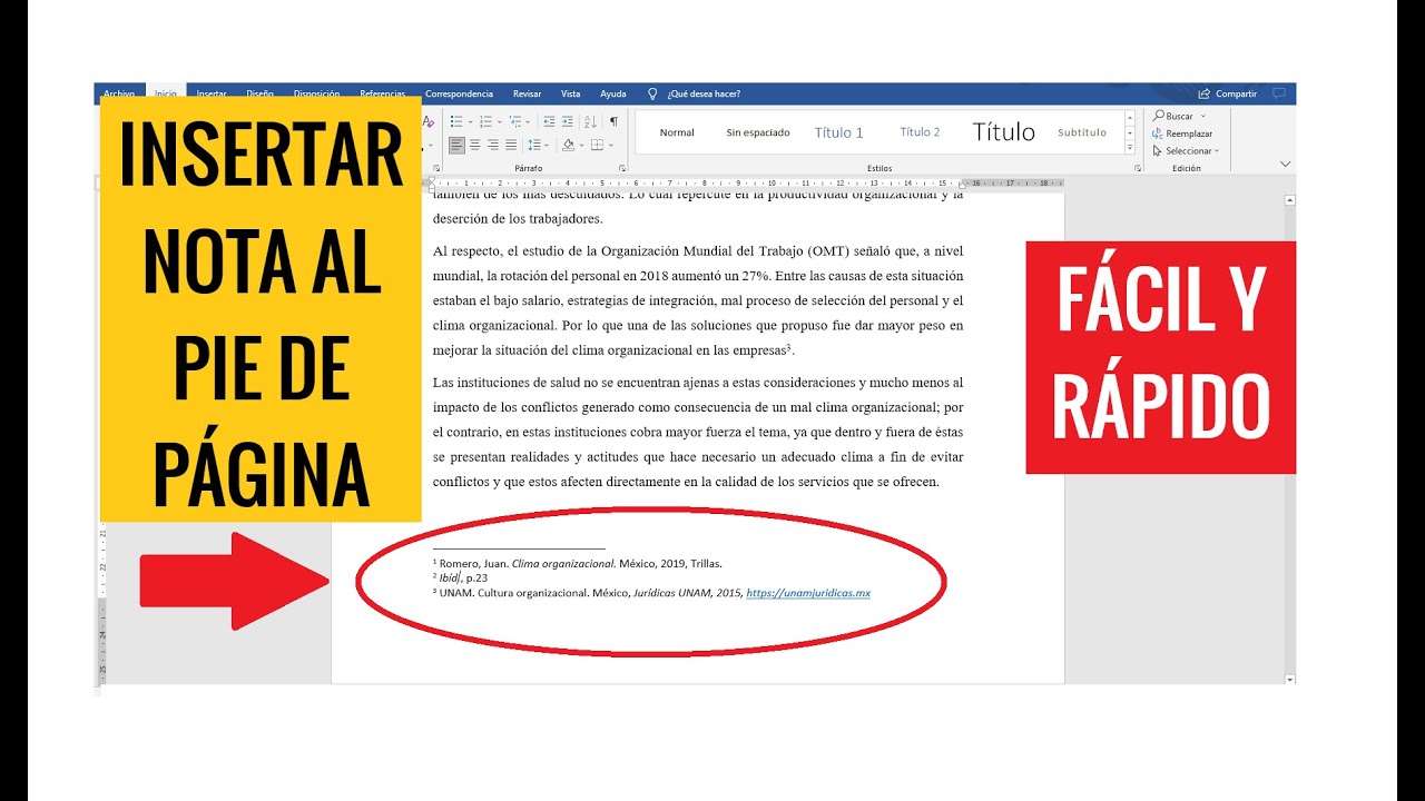como citar notas a pie de pagina