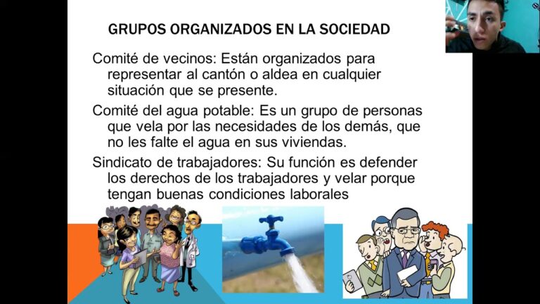 como esta organizada nuestra sociedad