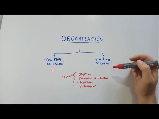 como se clasifican las organizaciones