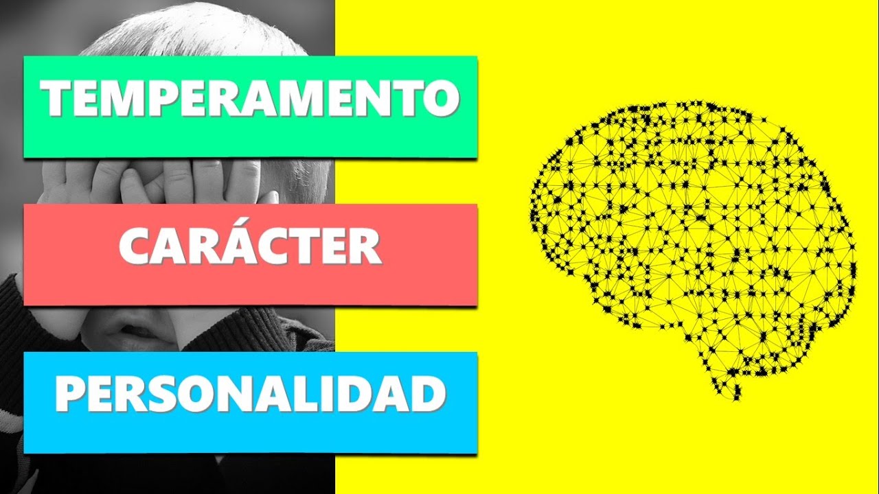 como se clasifican las personas