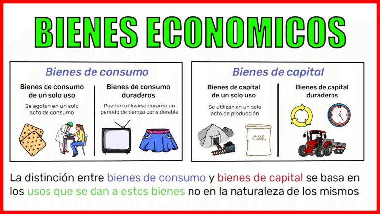 como se producen los bienes de la salud