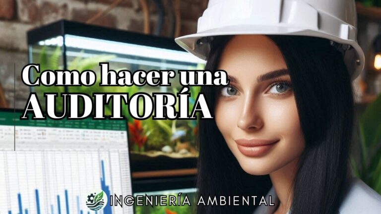 como se realiza una auditoria ambiental