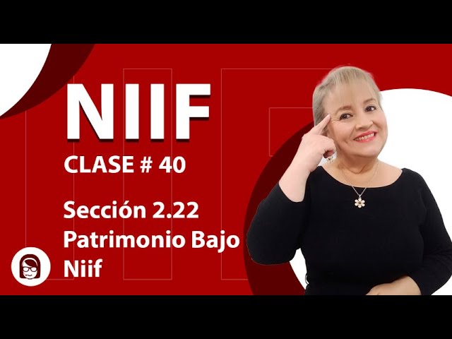 concepto de patrimonio segun las niif
