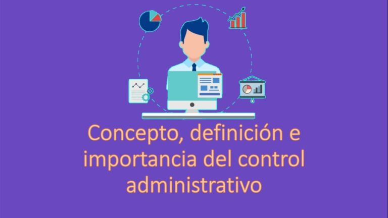 concepto e importancia del control