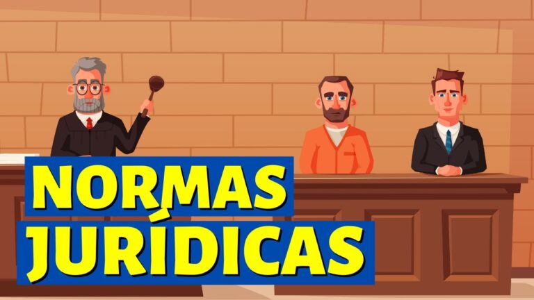 conjunto de normas juridicas creadas por el estado