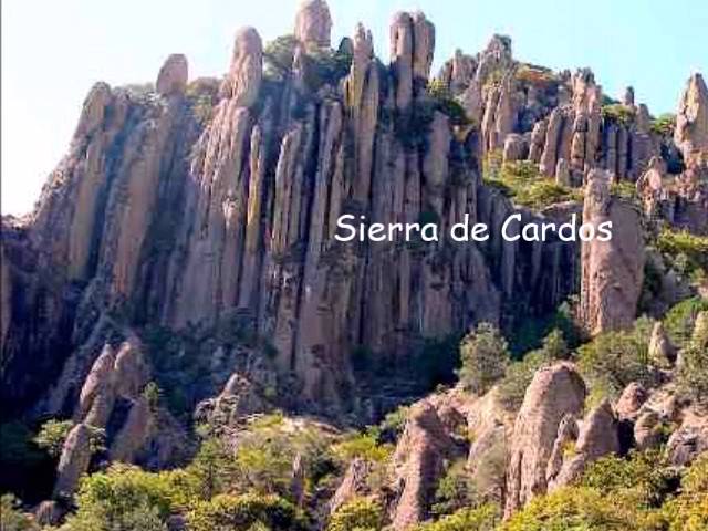 cual es el patrimonio natural de zacatecas