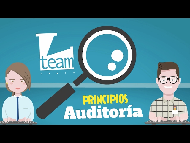 cual es el proposito de la auditoria interna