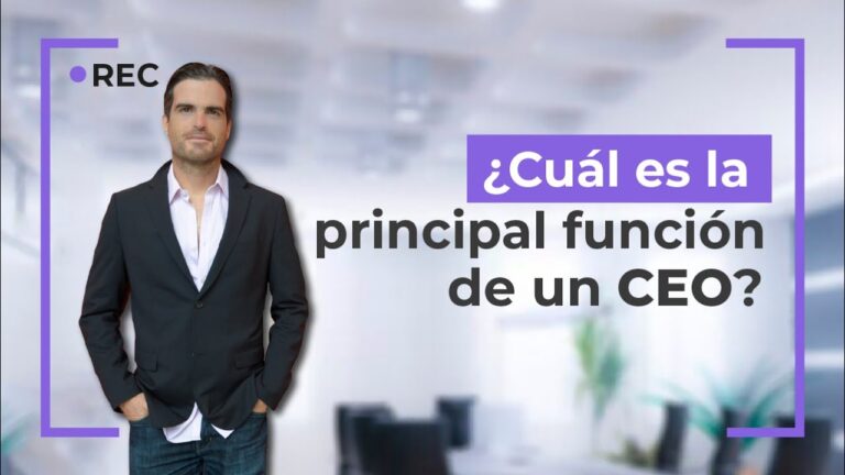 cuál es la principal función de un