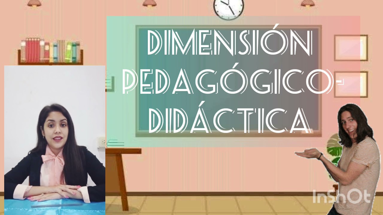cuáles son las dimensiones de la educación