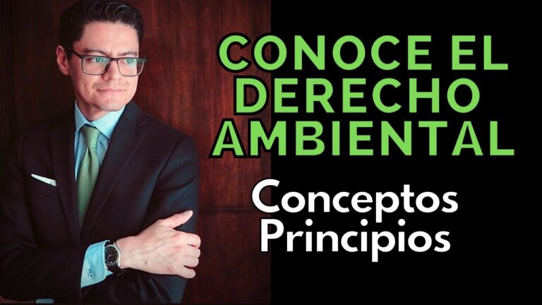 cuales son los derechos ambientales
