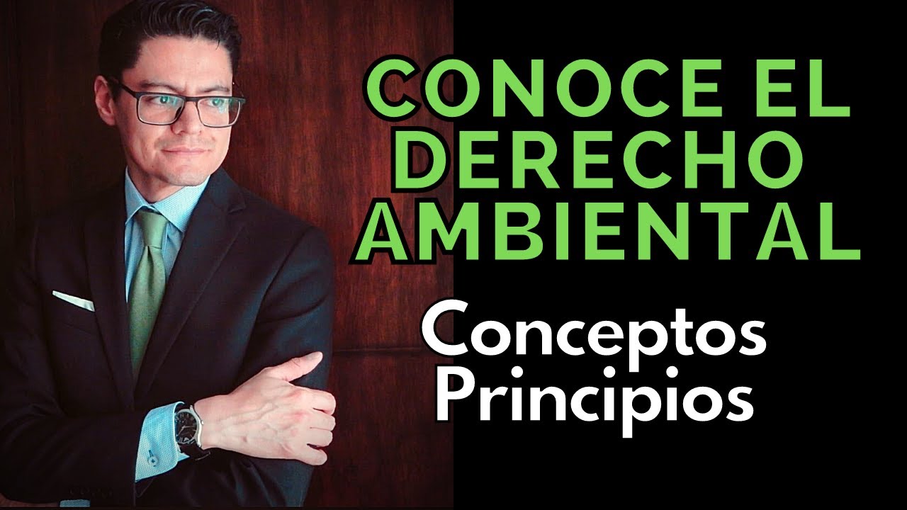 cuales son los derechos ambientales