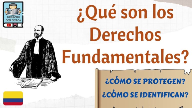 cuáles son los derechos fundamentales politicos