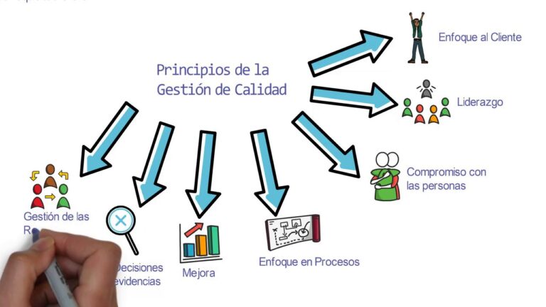 cuantos debes tiene la norma iso 9001