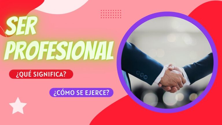 definicion de profesionalismo como valor