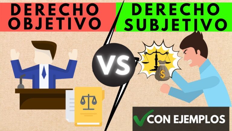 derechos humanos y derechos subjetivos