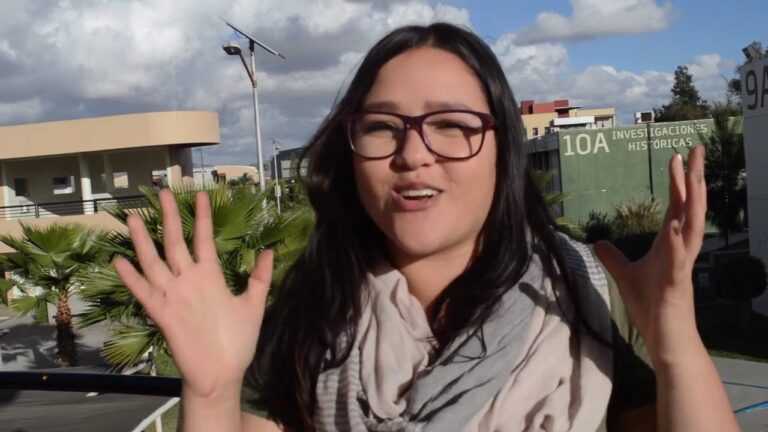desventajas de un intercambio estudiantil