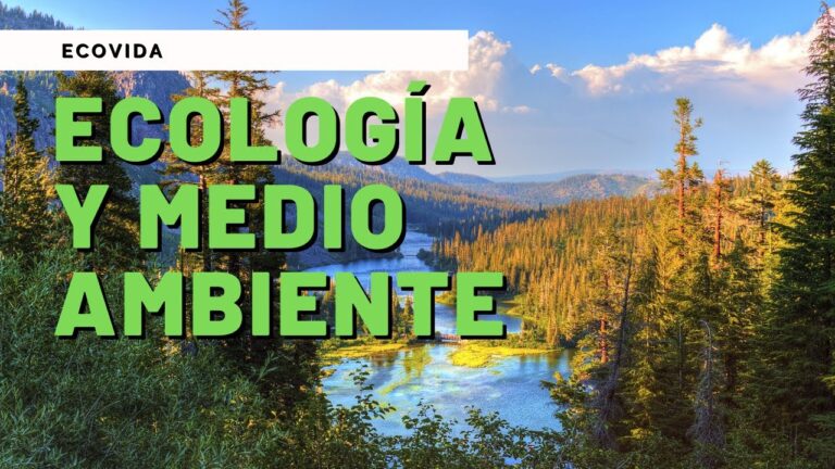 diferencia entre ecologia y medio ambiente