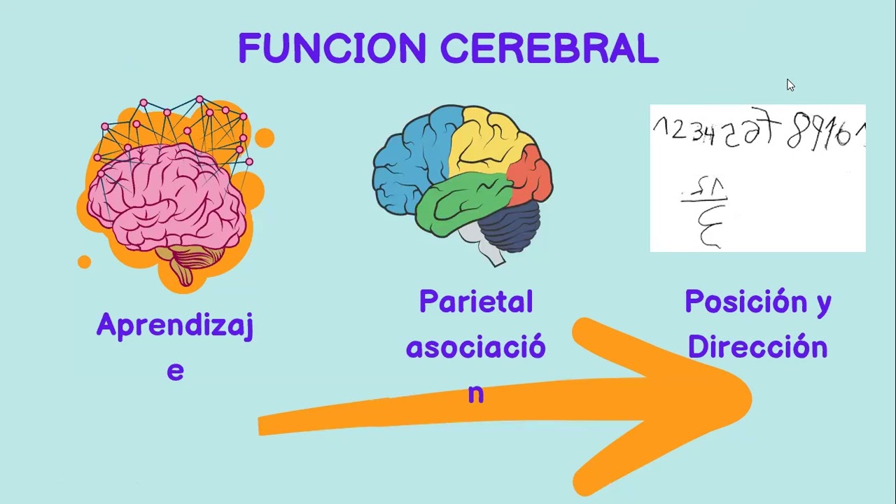 dificultades para el aprendizaje de las matemáticas
