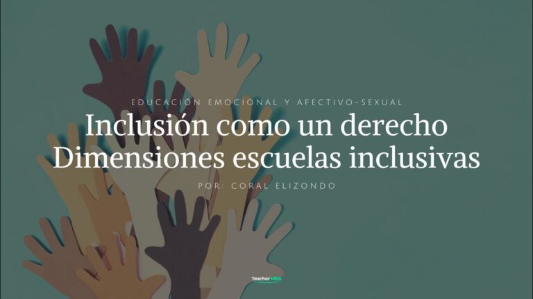 dimensiones del proceso de inclusion