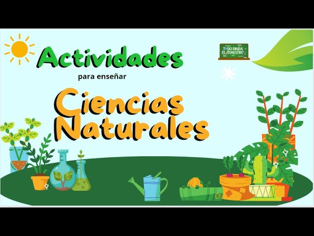 dinamicas para iniciar una clase de ciencias naturales