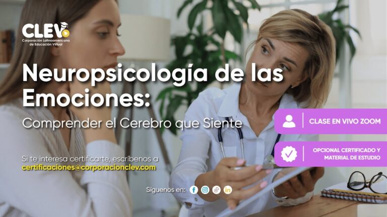 diplomado en neuropsicología infantil online