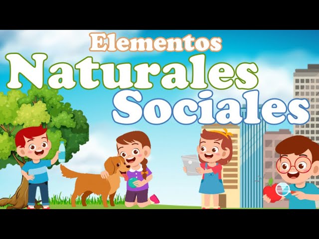 elementos sociales en la escuela