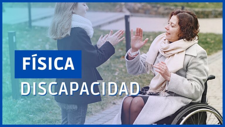 en que consiste la discapacidad fisica