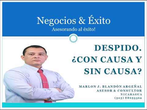 es correcto que un buen empleado sea despedido sin causa