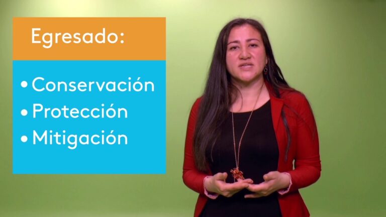 especializacion en gestion ambiental virtual