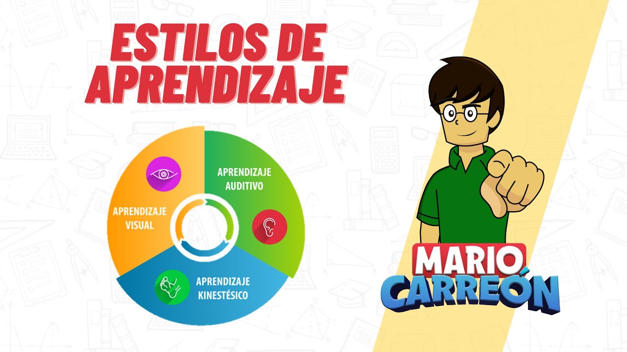 estilos de aprendizaje para primaria