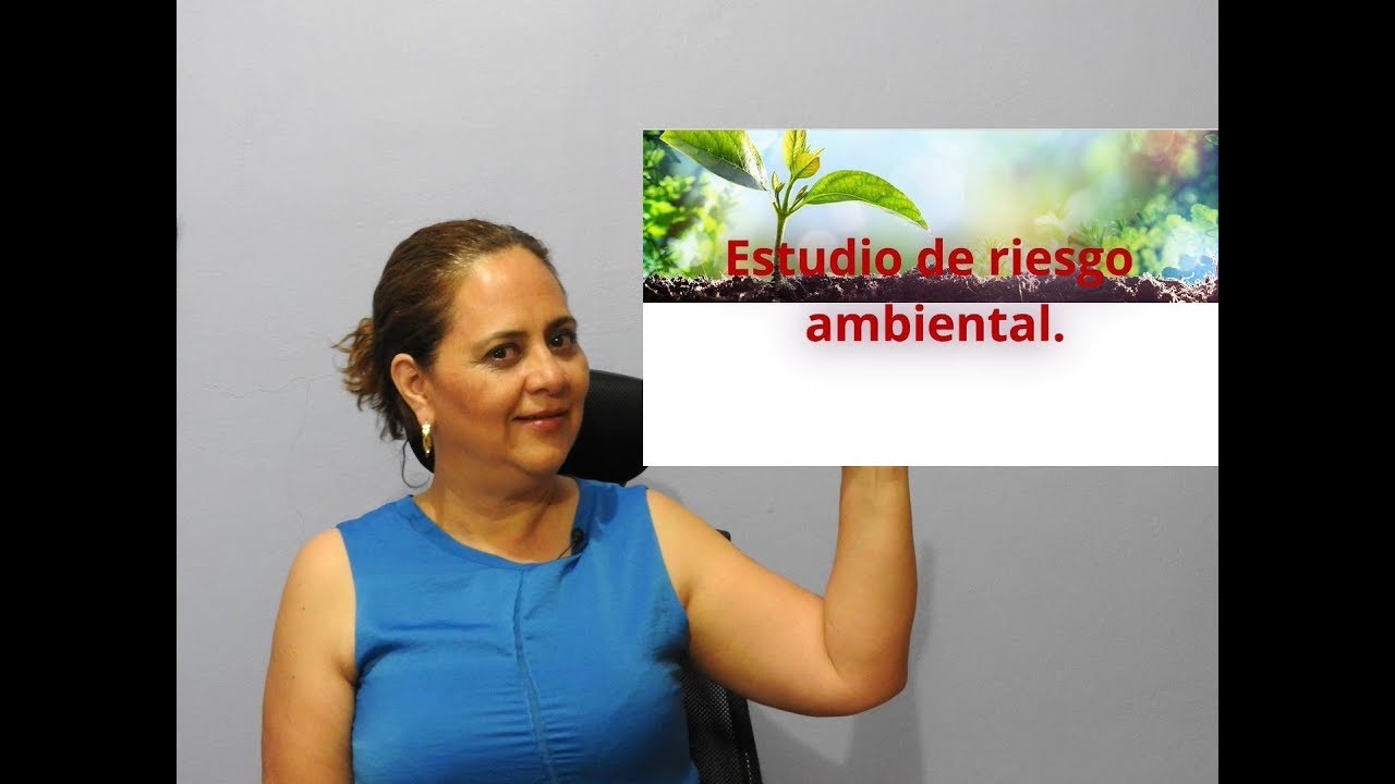 estudio de riesgo ambiental que es