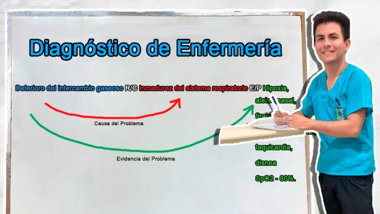 etapa de diagnostico de enfermeria
