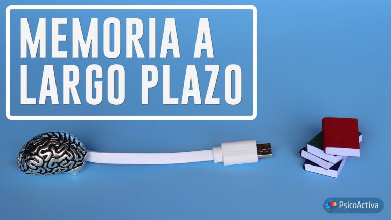 funciones de la memoria a largo plazo
