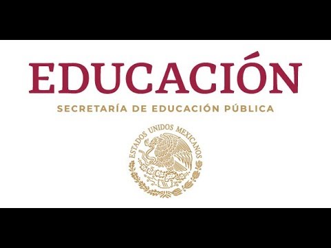 funciones de un director de primaria sep