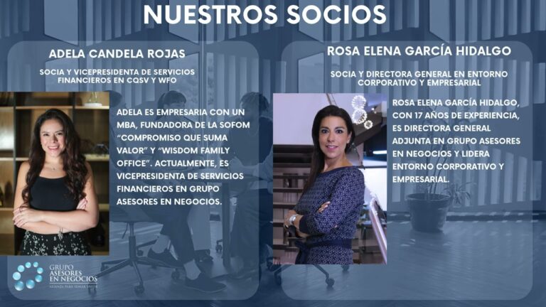 grupo asesores en negocios bolsa de trabajo